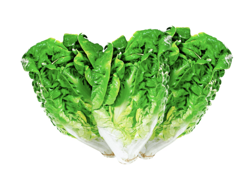 Romana Salat Herzen 