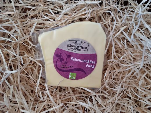 Scheunenkäse jung 