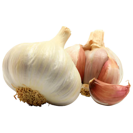 Knoblauch Knollen 100g
